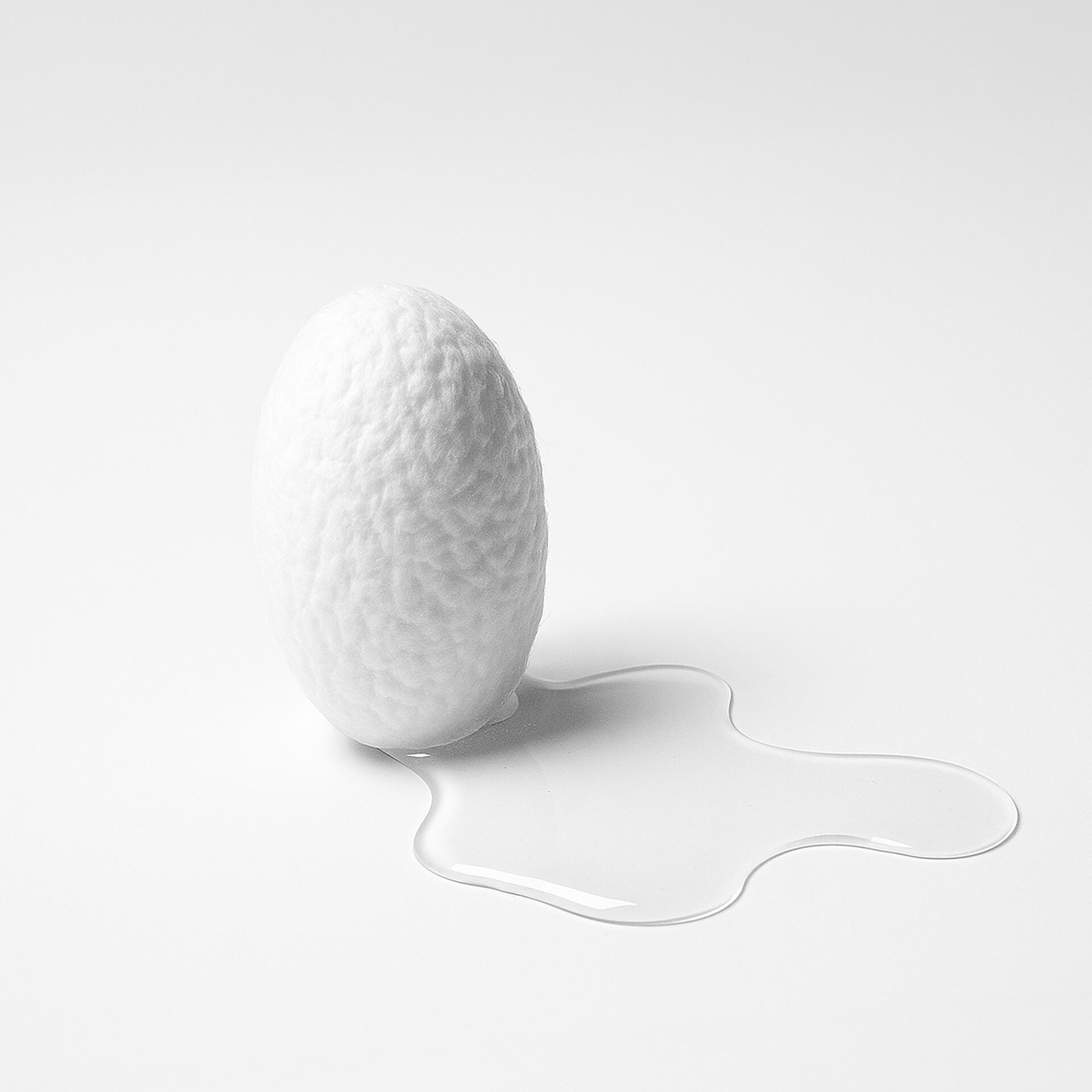 A photograph of a silk pod.